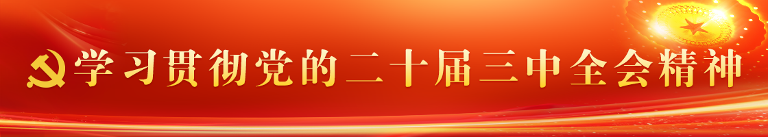 学习贯彻党的二十届三中全会精神