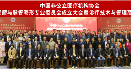 分支机构|中国非公立医疗机构协会血管瘤与脉管畸形专业委员会成立大会暨诊疗技术与管理高峰论坛在京召开