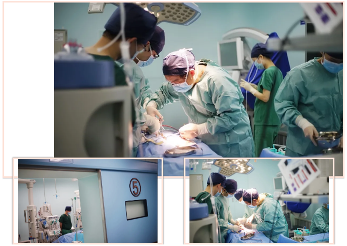 直击疫情 会员风采丨上海蓝十字脑科医院 神经外科6B病区潘仁龙团队