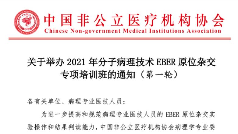 分支機構丨關(guān)于舉辦2021年分子病理技術(shù)EBER原位雜交專(zhuān)項培訓班的通知（第一輪）