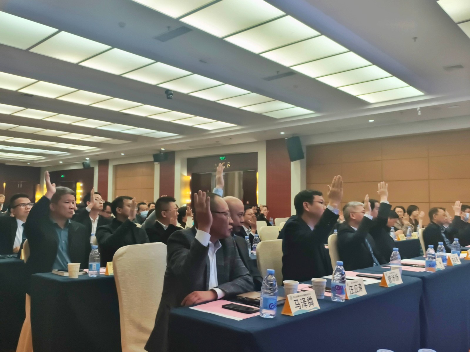 举手表决1  微信图片_20250110103318(1).jpg