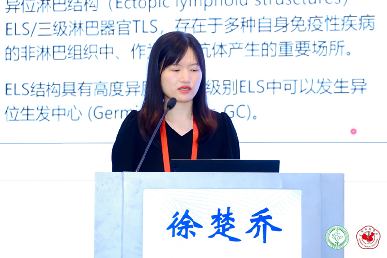 图片35.png