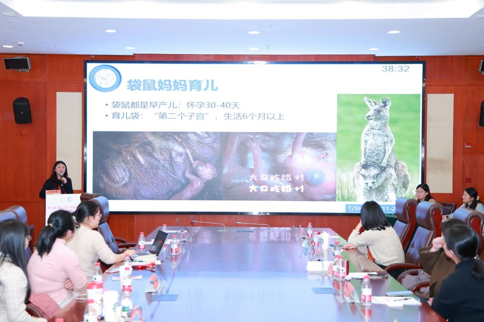图片20.jpg