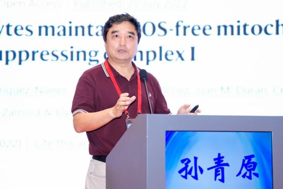 图片12.jpg
