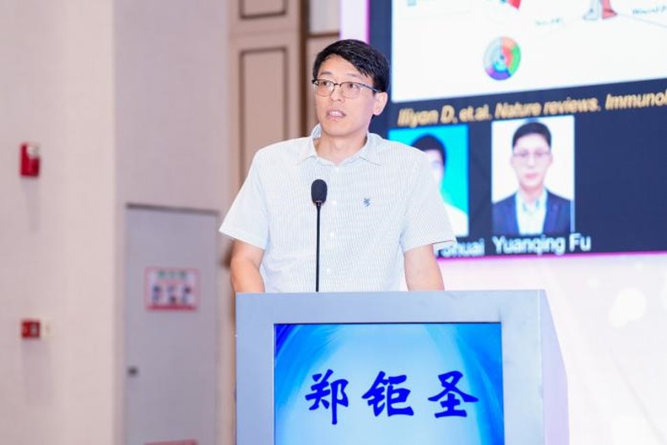 图片31.jpg